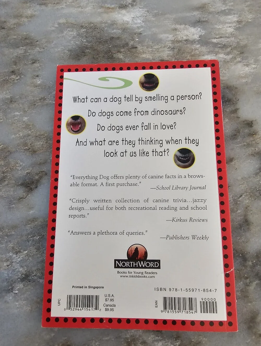 Everything Dog Marty Crisp Kids FAQs Childrens Nonfiction Pet Educational Book